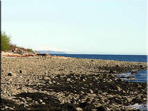 Singing Waters Cottage, Sunshine Coast lodging, British Columbia, Canada